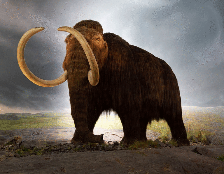 10 Animales Extintos que debes Conocer - Soul the Animal