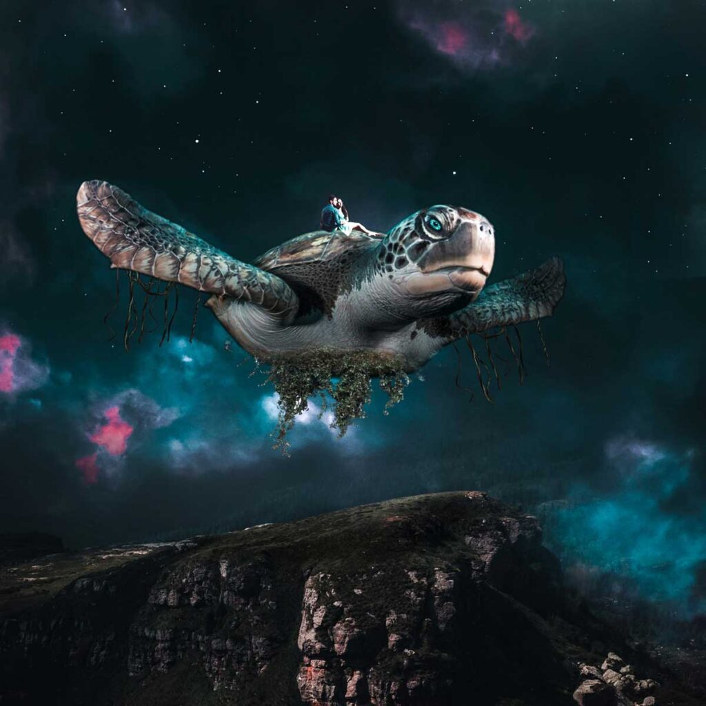 Bedeutung Der Schildkrote